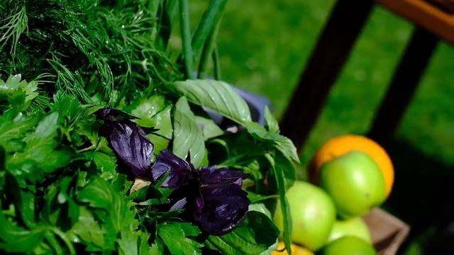 Рецепт приготовления грибного супа из свежих грибов/Как правильно готовить суп с грибами смотреть онлайн