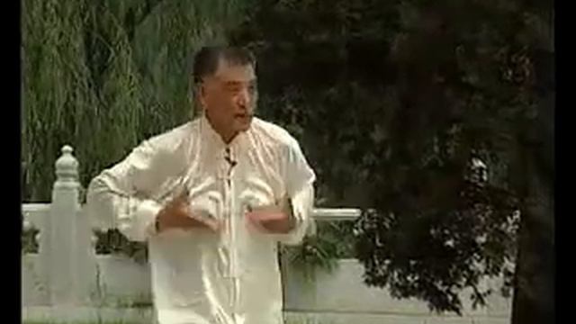 8 Large Palm Trees. Pushing Hands. Chen shi Bagua zhang смотреть онлайн