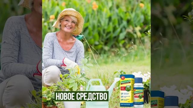 Биогард от Сорняков Отзывы Цена смотреть онлайн