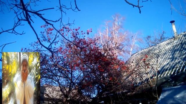 Новый проект OSHO  ОШО  о эволюции сознания.