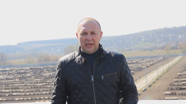 Когда лучше выпускать улитку на поле Helix aspersa | Snails House Farm смотреть онлайн