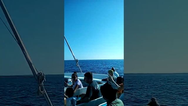 Отплытие из порта Арбатакс, Сардиния. смотреть онлайн