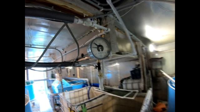 ферма узв на 1000 кг осетра часть 2