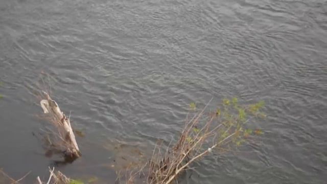 Рыбалка корабликом на Уфимке 1 смотреть онлайн