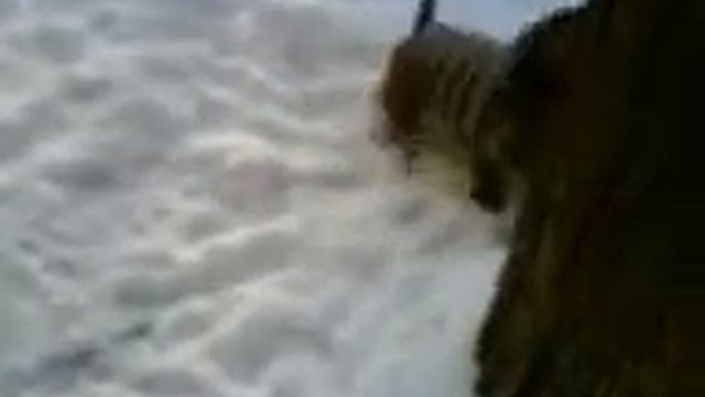 куси кисю смотреть онлайн