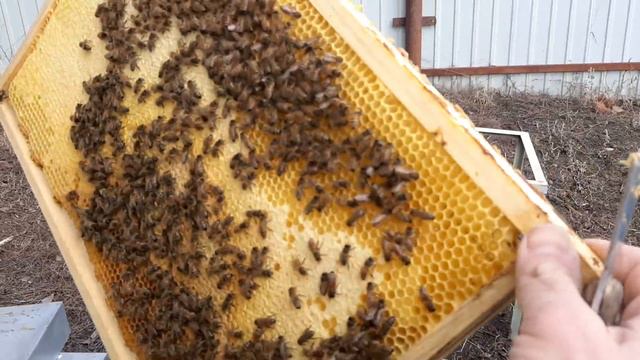 Холода работе не помеха. 06.03.2021 смотреть онлайн