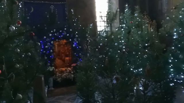 Рождественский Вертеп в Черкасском Михайловском Соборе смотреть онлайн