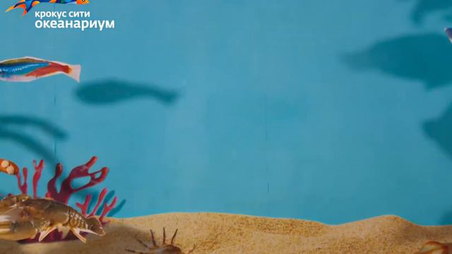 Море рыб смотреть онлайн