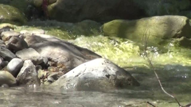 Ущелье Самарья с TEZ TOUR. Активный отдых в Греции, на острове Крит. смотреть онлайн