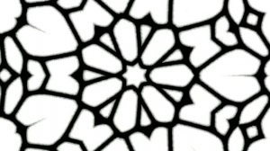 ФУТАЖ ЧЕРНО  БЕЛЫЙ КАЛЕЙДОСКОП