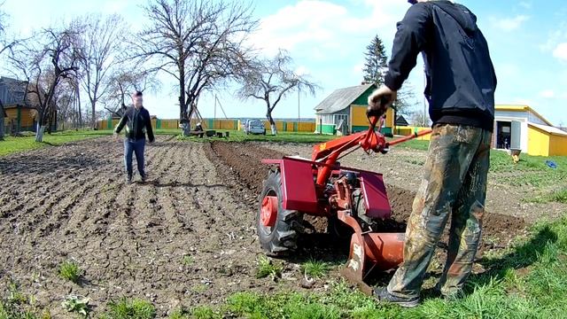Вспашка огорода всвал весной , под посадку картошки мотоблок мтз смотреть онлайн