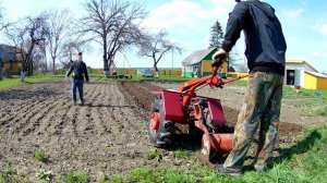Вспашка огорода всвал весной , под посадку картошки  мотоблок мтз