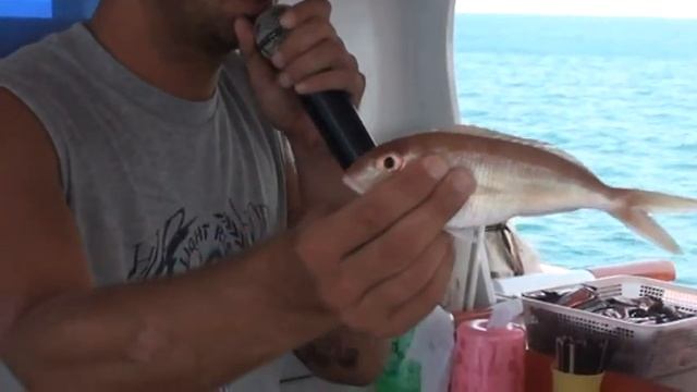 Тайланд -Сиамский залив .Острова -рыбалка от Отдых в Крыму #отдых в крыму смотреть онлайн