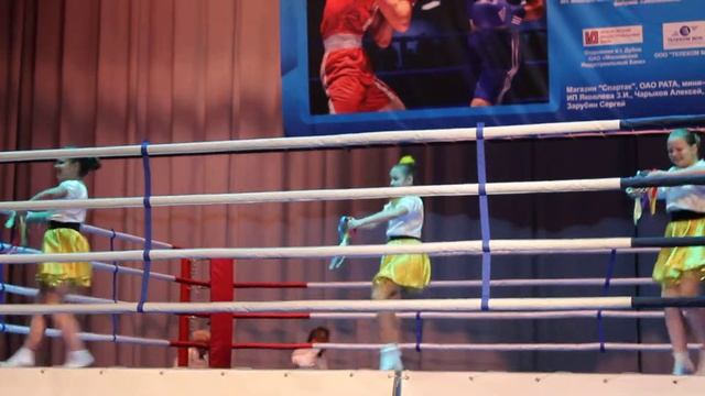 Выступление на чемпионате по боксу. Тарантелла. смотреть онлайн