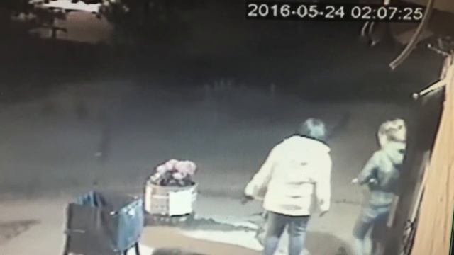 Лесные Поляны-крутые воры цветов. смотреть онлайн