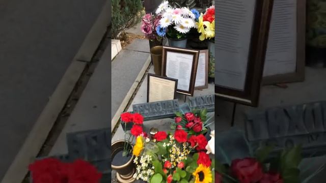 † Могила Вячеслава Тихонова на Новодевичьем кладбище. смотреть онлайн