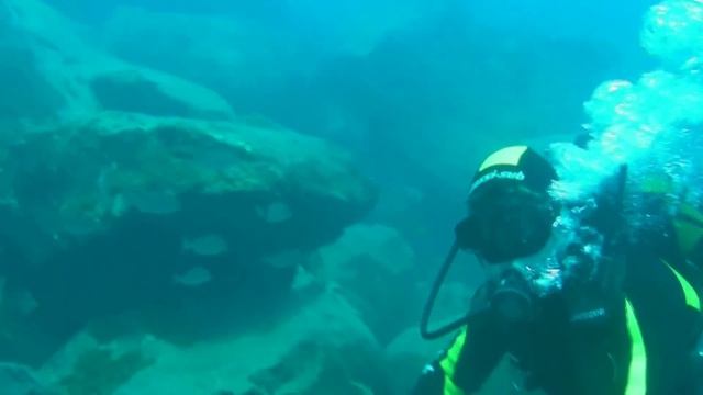 Дайвинг на Тенерифе - погонять стайку рыб смотреть онлайн