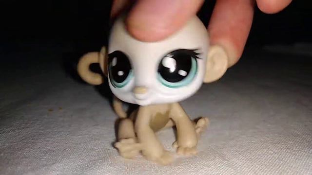 LPS: ТИПЫ LPS НА МОРЕ!😍😘😂/Летний видосик😻🍒🍓🥝😆 смотреть онлайн