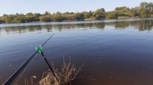 На такую рыбалку хочется снова! Ловля леща на фидер. Фидерная ловля. Рыбалка в Нижнем Новгороде.