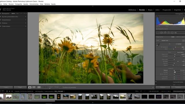 Curso Básico de Adobe Photoshop Lightroom Classic CC 2020 смотреть онлайн