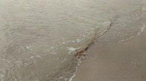 Камышеватская коса — Азовское море. Дикий пляж недалеко от Ейска.