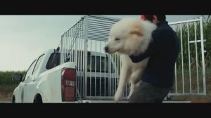 12) Белль и Себастьян Новое поколение (2023) Тизер (#Приключения #Семейный)