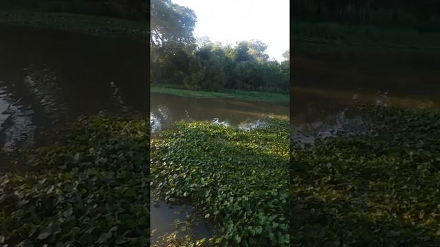 zona sul ?/ ponta grossa/ poa смотреть онлайн