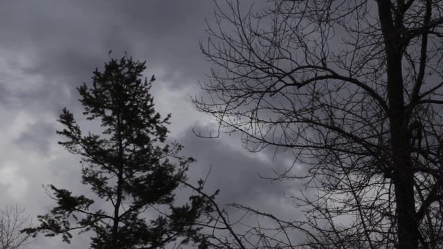 Страшная история "Утбурд средь бела дня" смотреть онлайн