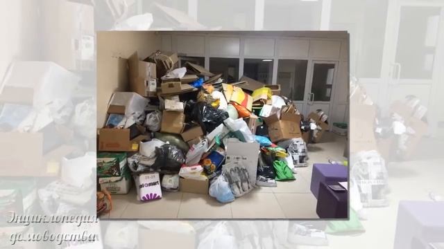 10 плюсов весенней уборки смотреть онлайн