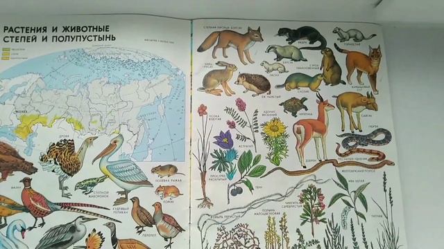 Полезная книга ПРИРОДОВЕДЕНИЕ. 1999 год. смотреть онлайн