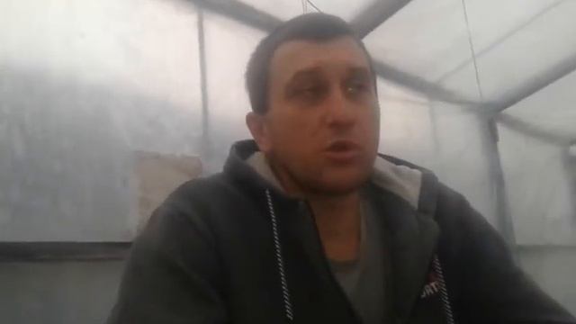Мои зимние огурцы в теплице! Эксперимент окончен.... смотреть онлайн