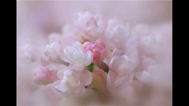 Music card "Good night!" Пожелание "Спокойной ночи!" Музыкальная открытка. (JM) смотреть онлайн