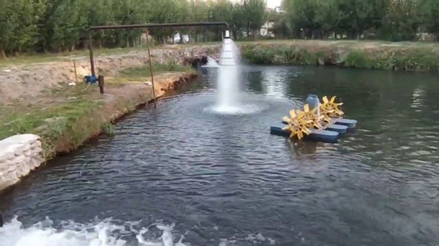 разведение форели. форелевое хозяйство смотреть онлайн