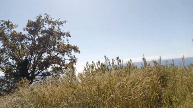 Инвестиции в недвижимость в Сочи | Купить дом в Сочи | Купить участок в Сочи | Земельные участки