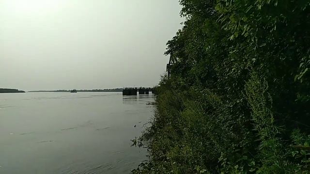 Амур! Течение! Вода прибывает! смотреть онлайн