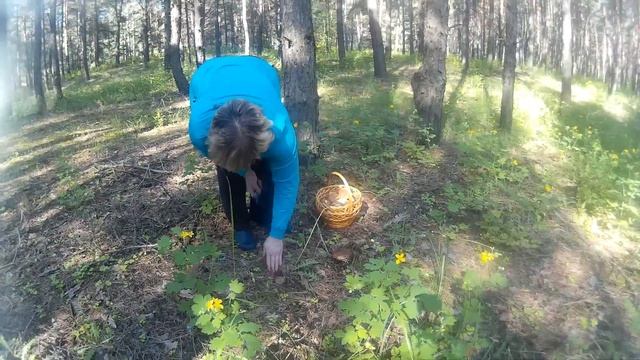 тихая охота, или как найти грибы весной... смотреть онлайн