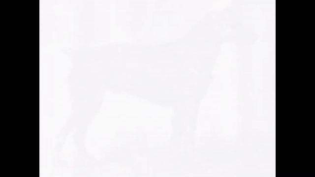 история ирландцев смотреть онлайн