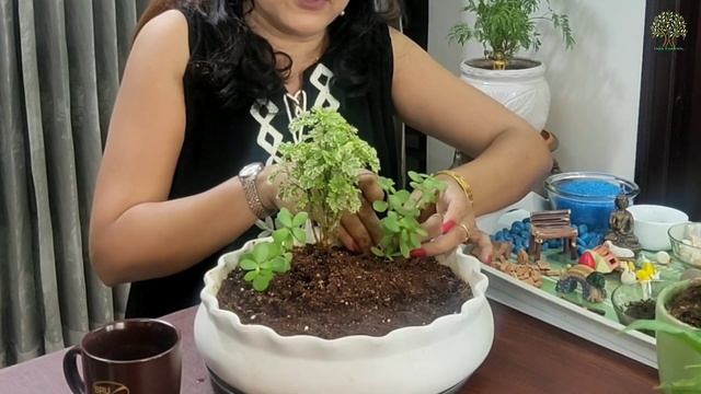 Zen Miniature garden | DIY Bench miniature garden | DIY fairy garden | how to make miniature garden смотреть онлайн