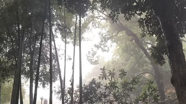 Ханчжоу летом 2017 года смотреть онлайн