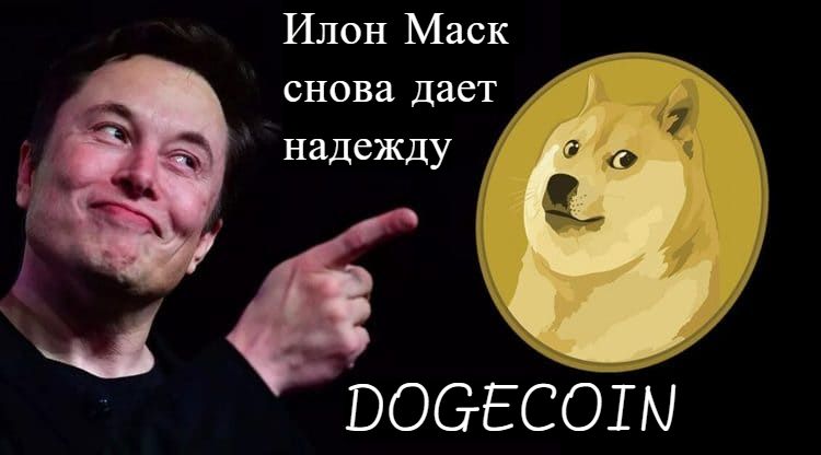Обновление криптовалюты Dogecoin. Поддержка Илона Маска.