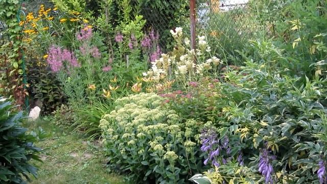 Миксбордер, 2018г