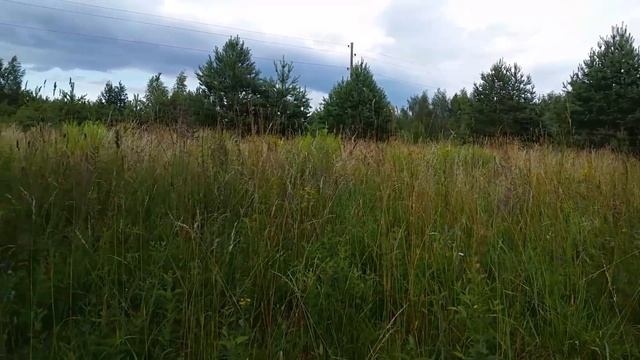 Веселенький коп с неожиданным окончанием.Minelab safari.Коп 2016 смотреть онлайн