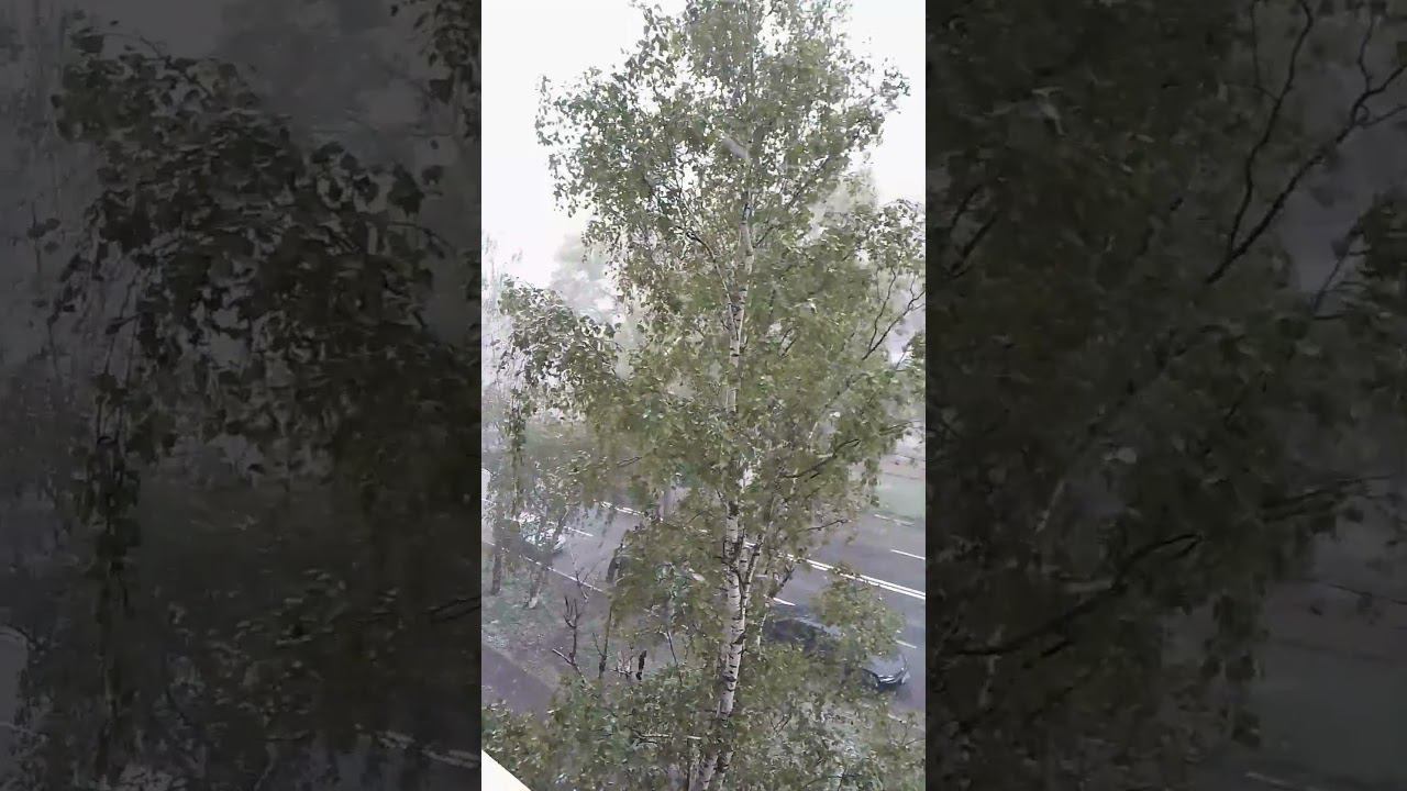 С днём победы(снег 9 мая) смотреть онлайн