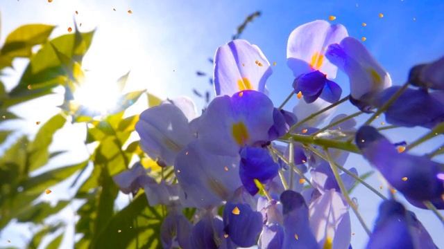 Расслабляющая музыка для сна для снятия стресса - музыка для медитации,спокойная фортепианная музык смотреть онлайн