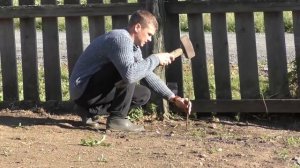 Прогулочный трос для щенка