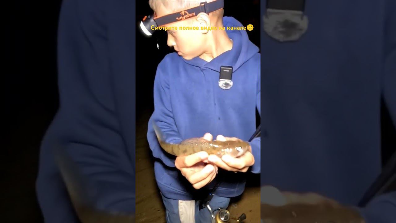 Судаки ночью в городе #рыбалка #fishing #viral #top #рыбаки #ночнойгород #спиннинг #воблера #fish смотреть онлайн