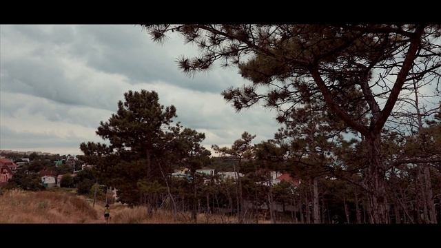 КУДА ПРОПАЛ ЛАРОС? ЛИРИЧЕСКОЕ ОТСТУПЛЕНИЕ смотреть онлайн