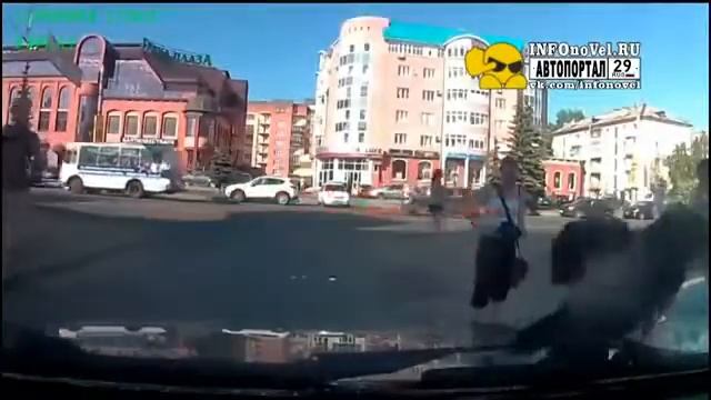 Дерзкая ворона Архангельск... смотреть онлайн