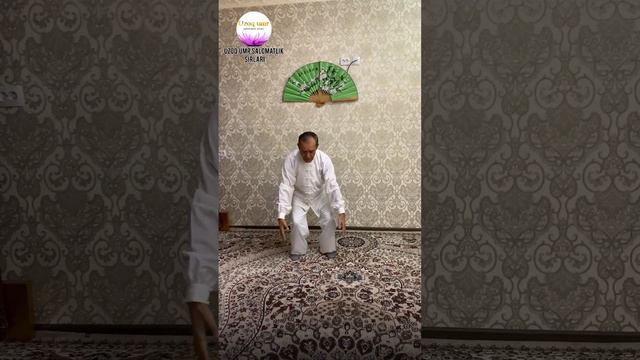 Цигун гимнастикаси смотреть онлайн