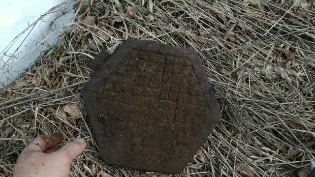 Металлокоп с преданым другом и первые лемиха смотреть онлайн